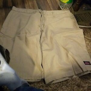 Dickie shorts